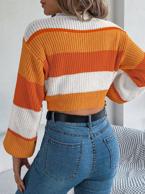 Color Block Round Neck Cropped Sweater – Back View