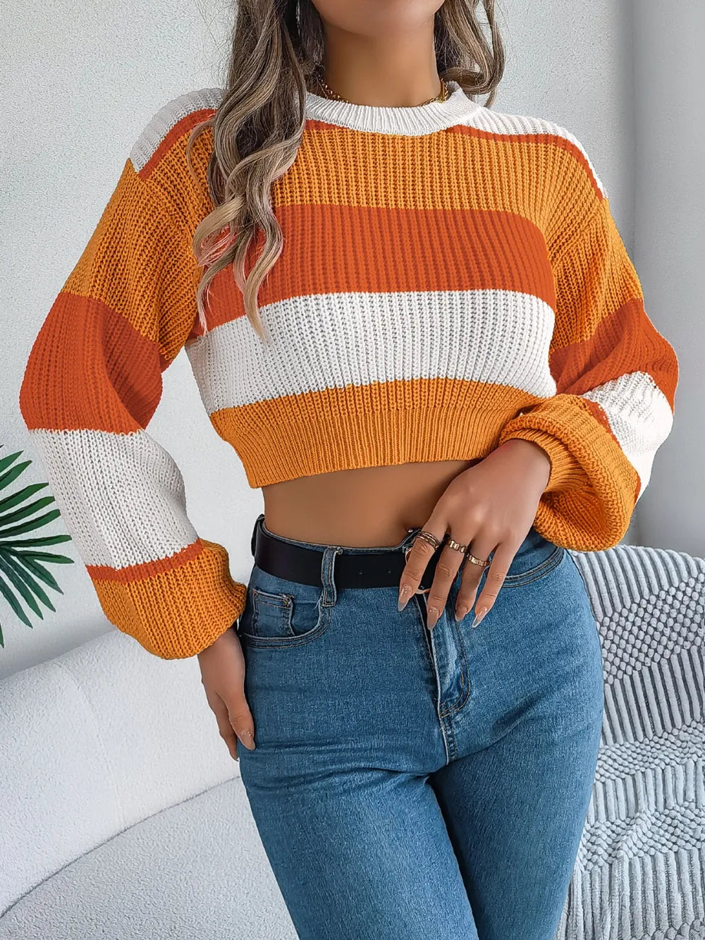 Color Block Round Neck Cropped Sweater – Front View