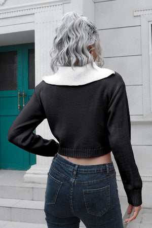 Back look of contrast collared knit cropped sweater