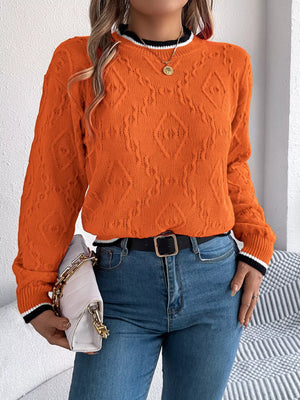 stylish knit round neck sweater with contrast trim front